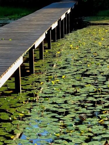 Wallpapers Nature Lakes - Ponds Au bout du ponton