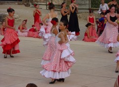 Fonds d'cran Sports - Loisirs flamenco