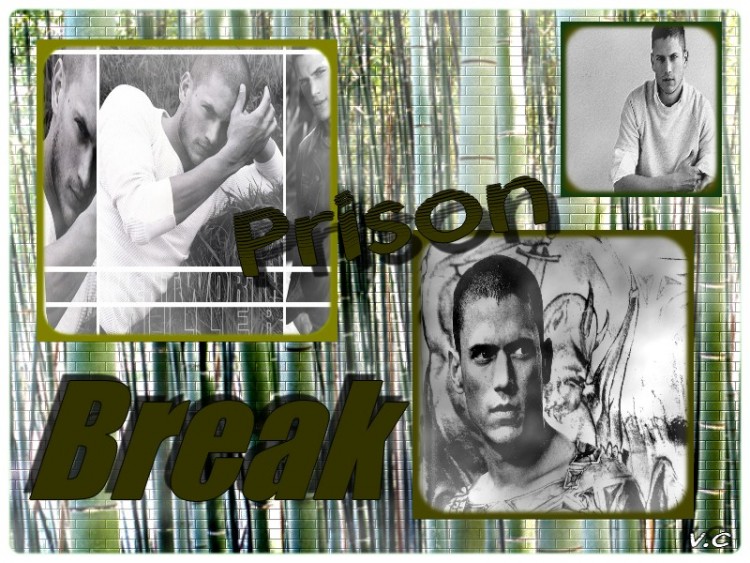 Wallpapers TV Soaps Prison Break Wallpaper N177082