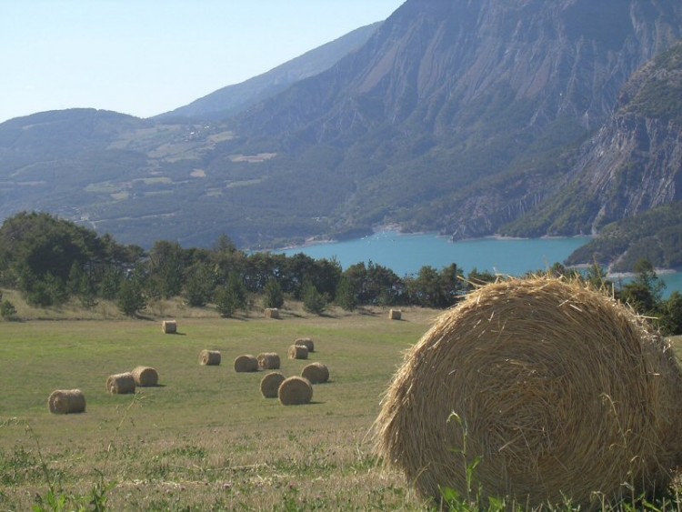 Wallpapers Nature Fields a roule..