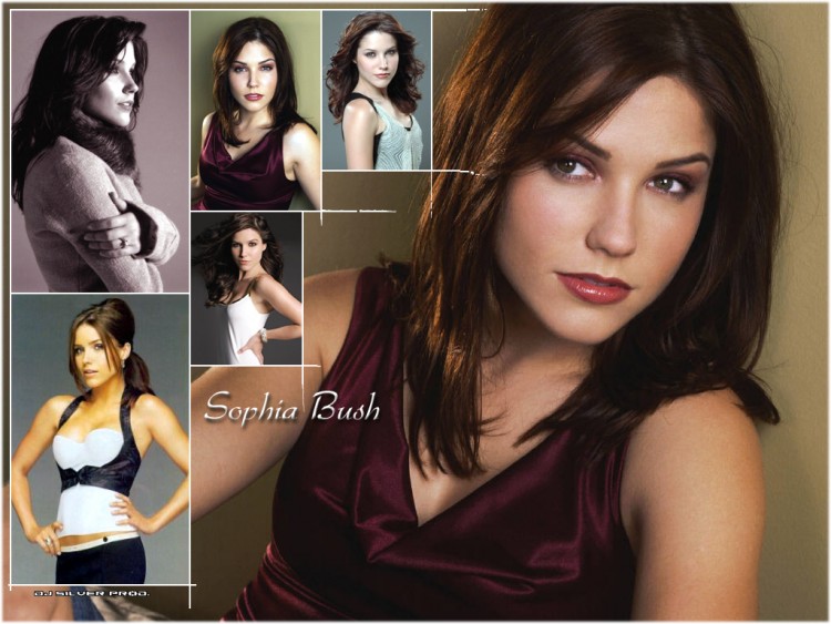 Wallpapers Celebrities Women Sophia Bush Sophia Bush