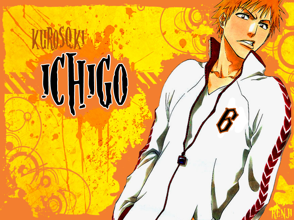 Fonds d'cran Manga Bleach ichigo TRASH style