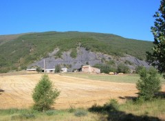 Fonds d'cran Nature Champ de bl