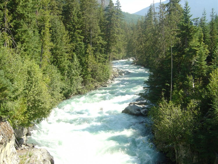 Fonds d'cran Nature Fleuves - Rivires - Torrents Un chemin  travers les arbres...