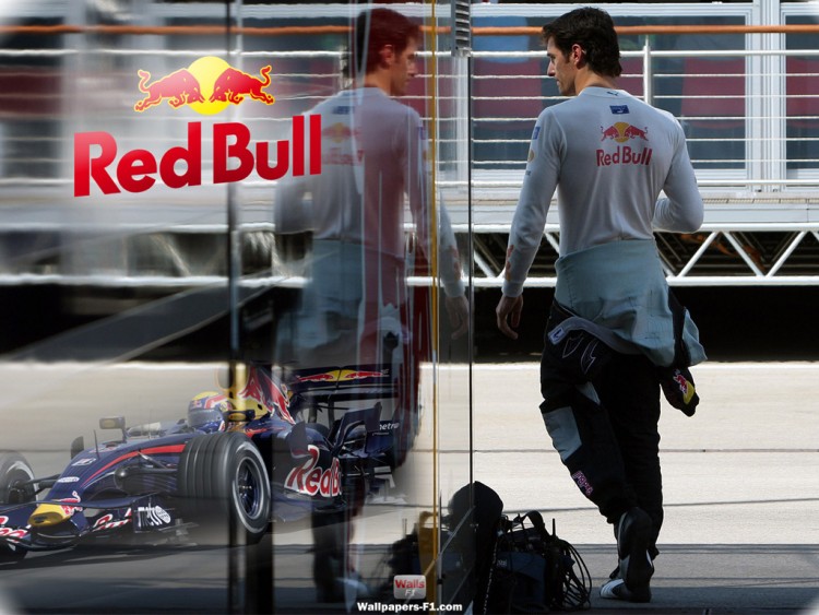 Wallpapers Sports - Leisures Formule 1 Red-Bull F1 2007