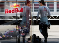 Wallpapers Sports - Leisures Red-Bull F1 2007