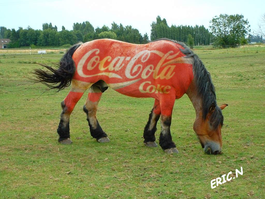 Fonds d'cran Animaux Chevaux Cheval coke