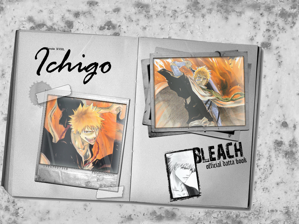 Fonds d'cran Manga Bleach Bleach