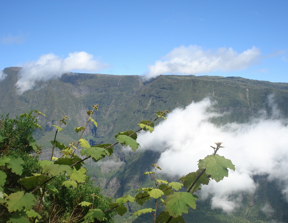 Fonds d'cran Nature Montagnes PITON FOUGERE