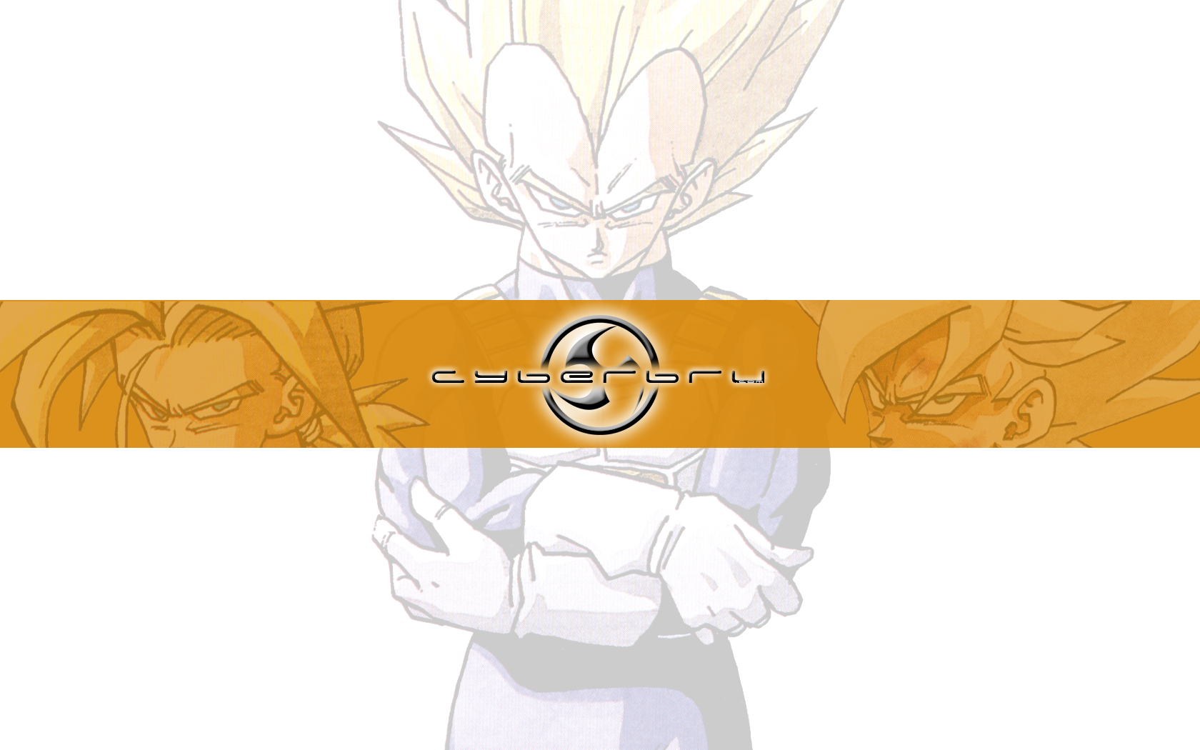 Fonds d'cran Grandes marques et publicit Sites web - Divers Cyberbru.com - Wallpaper 4 - Theme Dragon Ball