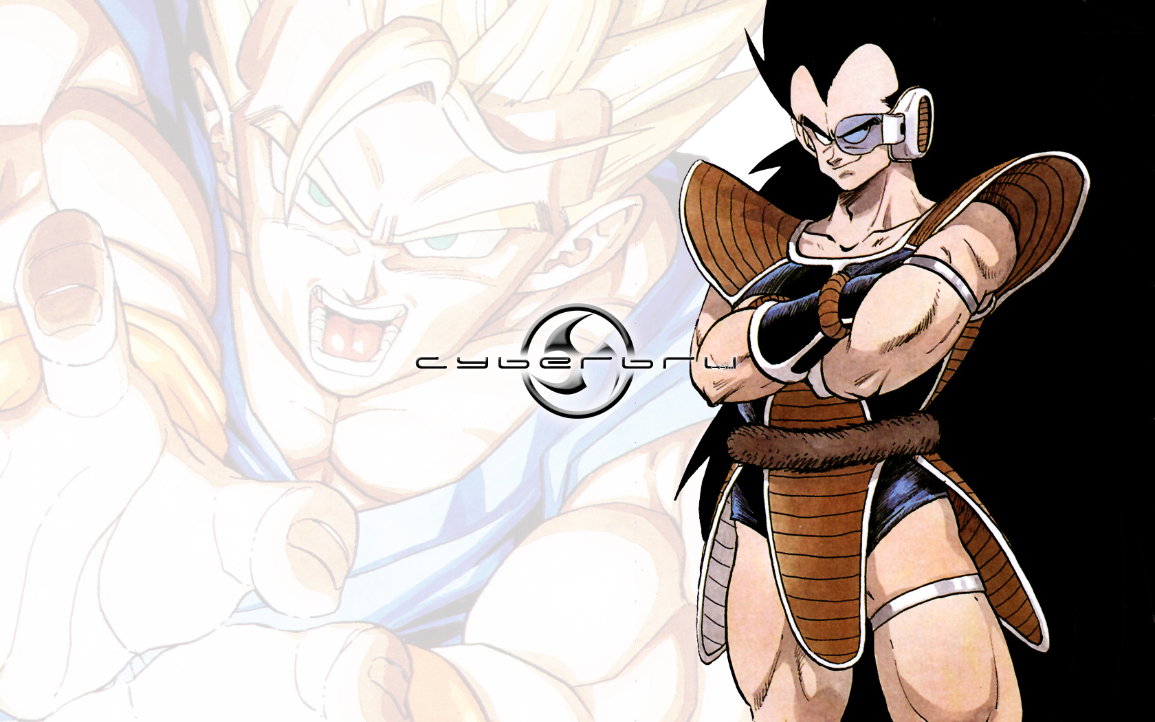 Fonds d'cran Grandes marques et publicit Sites web - Divers Cyberbru.com - Wallpaper 3 - Theme Dragon Ball