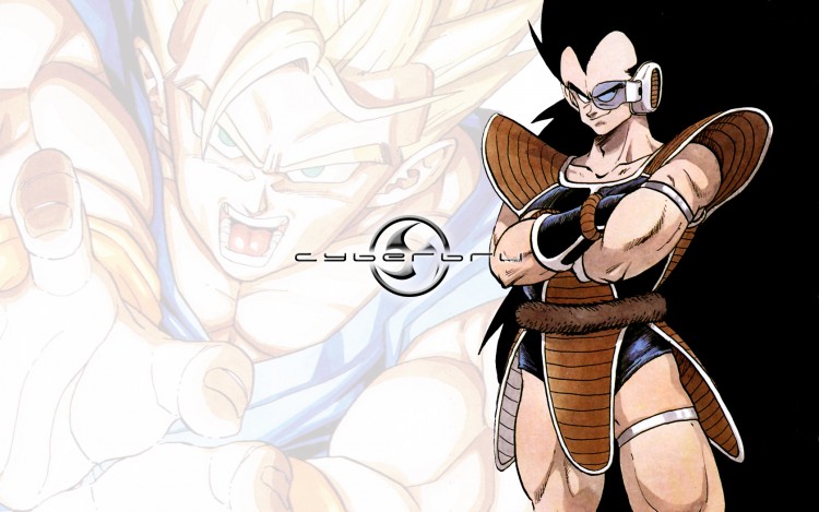 Fonds d'cran Grandes marques et publicit Sites web - Divers Cyberbru.com - Wallpaper 3 - Theme Dragon Ball