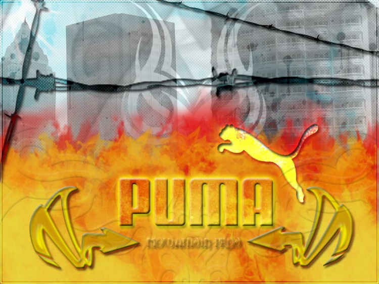 Wallpapers Brands - Advertising Puma moujahidin prod