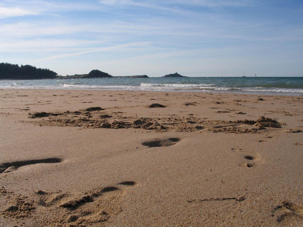 Fonds d'cran Nature Mers - Ocans - Plages Plage de Sable d'or les pins