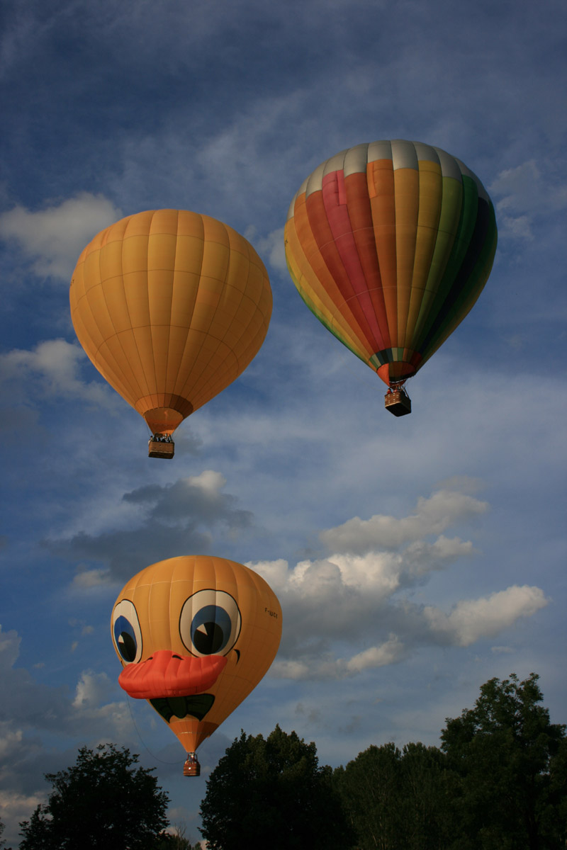 Wallpapers Planes Balloons - Airships Canard en Prigord