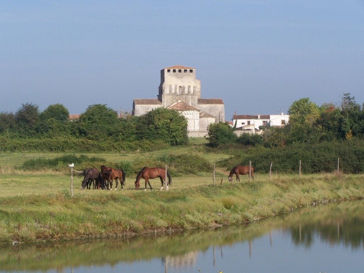 Fonds d'cran Nature Campagne Mornac et ses environs (Charente-Maritime)