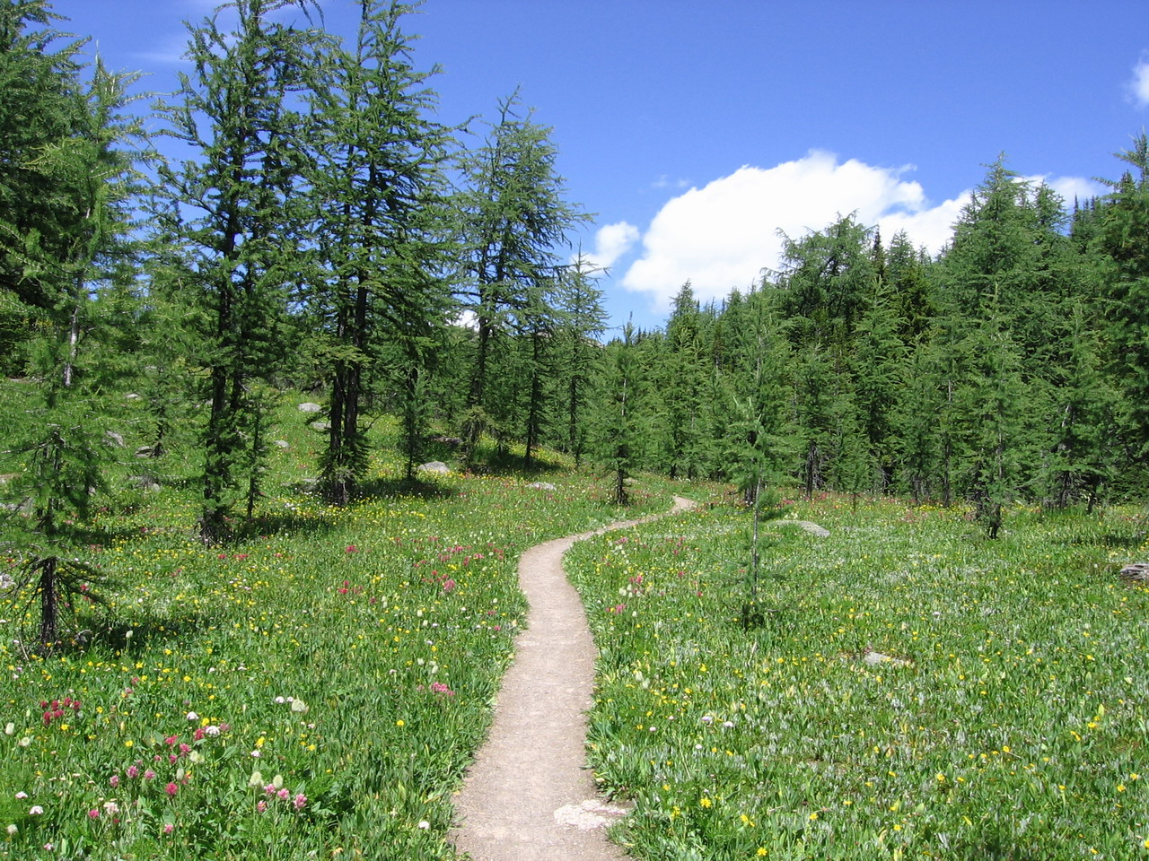 Fonds d'cran Nature Paysages 