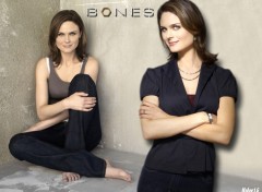 Fonds d'cran Sries TV Bones Brennan s3