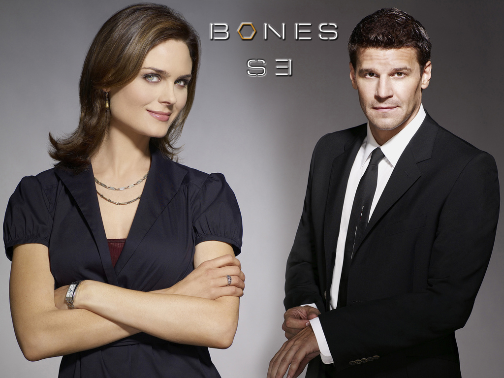 Fonds d'cran Sries TV Bones Bones s3 B&B