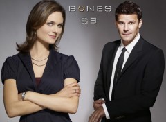 Fonds d'cran Sries TV Bones s3 B&B