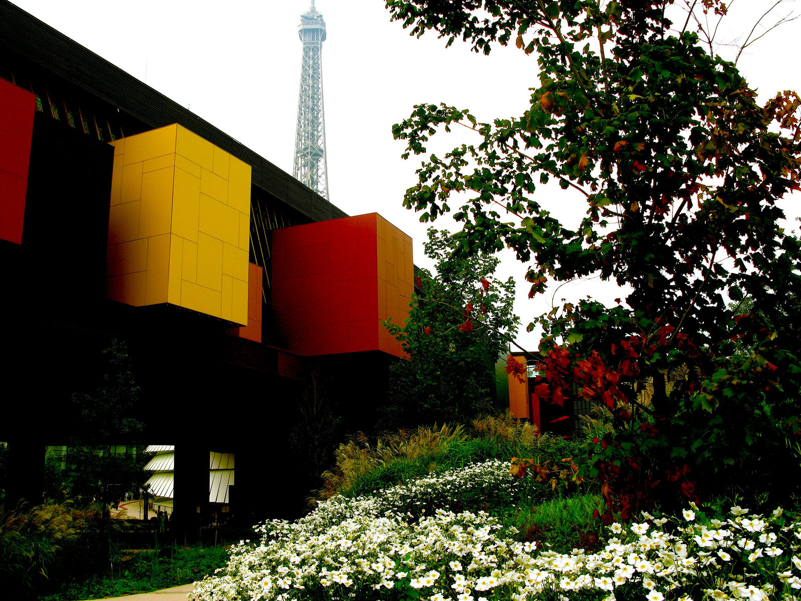 Fonds d'cran Constructions et architecture Monde moderne Quai Branly