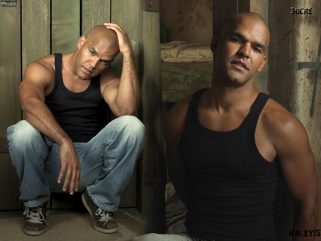 Fonds d'cran Sries TV Prison Break PB sucre s3