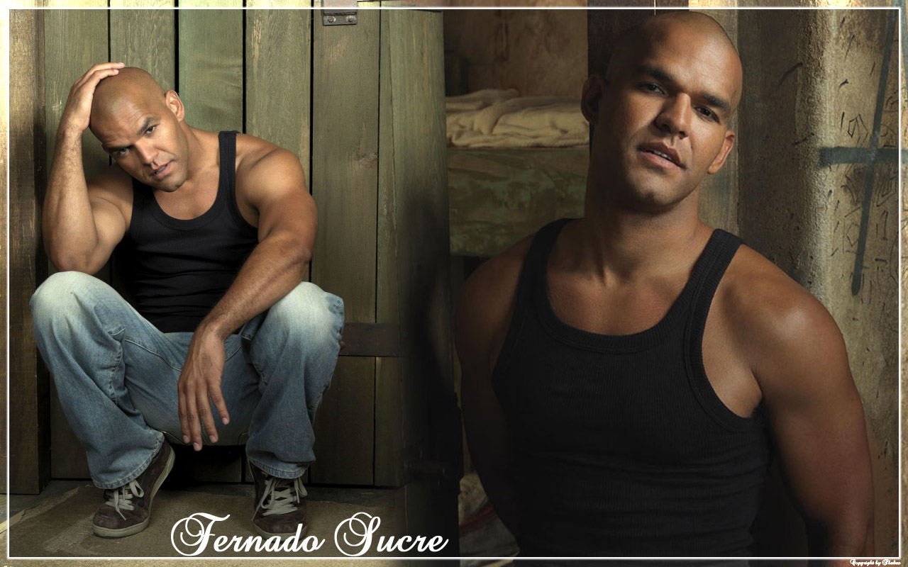 Wallpapers TV Soaps Prison Break sUCRE fERNANDO