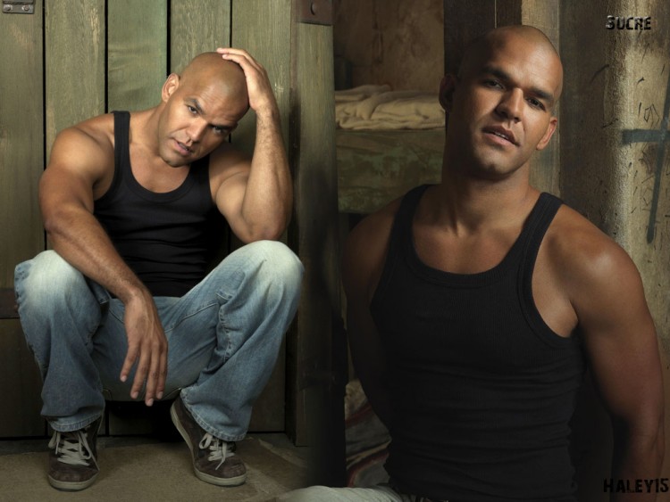 Fonds d'cran Sries TV Prison Break PB sucre s3