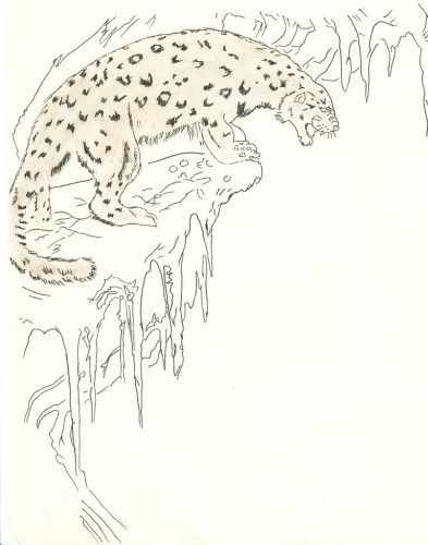 Wallpapers Art - Pencil Animals - Panthers PANTHERE DES NEIGES