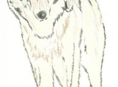 Wallpapers Art - Pencil LOUP