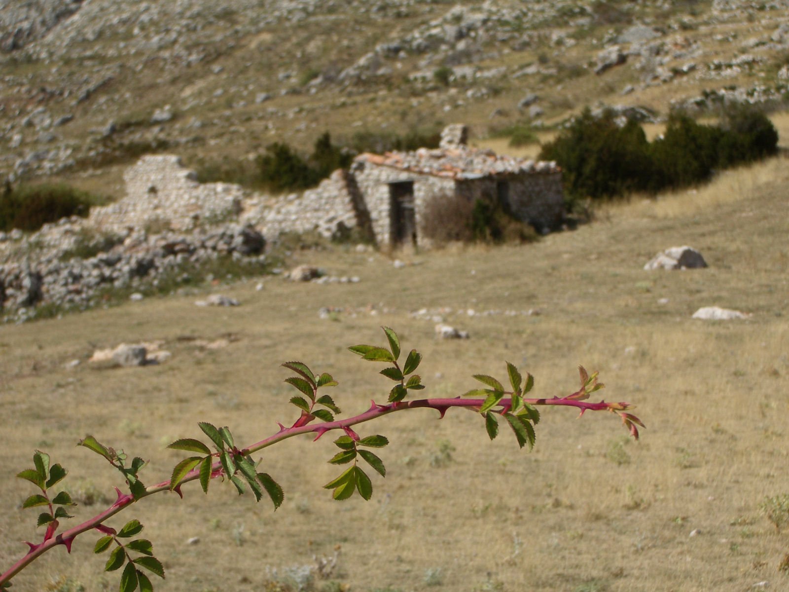 Wallpapers Nature Campaign Paysage du Verdon