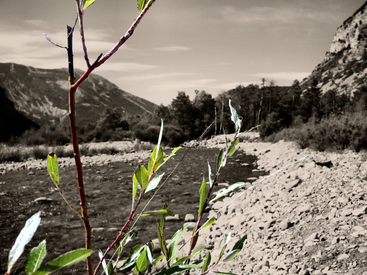 Fonds d'cran Nature Fleuves - Rivires - Torrents Sur les bords du Verdon