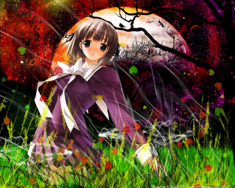 Wallpapers Manga Miscellaneous A magic night(vs2)