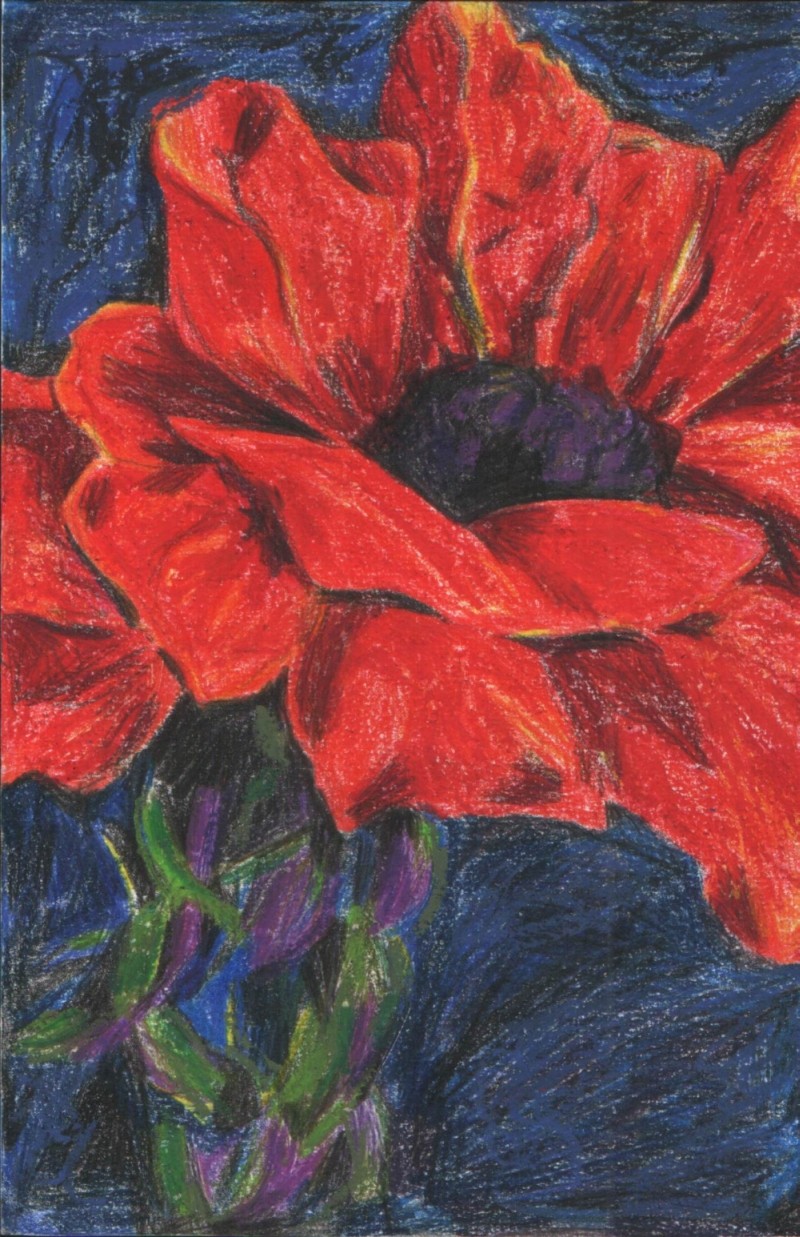 Fonds d'cran Art - Crayon Fleurs - Feuilles - Fruits 