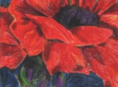 Fonds d'cran Art - Crayon Image sans titre N179112