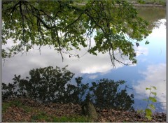 Fonds d'cran Nature Miroir