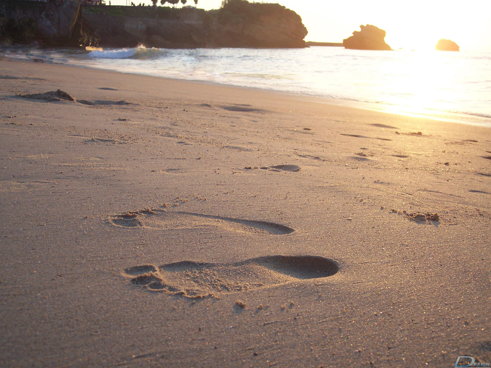 Fonds d'cran Nature Mers - Ocans - Plages evasion