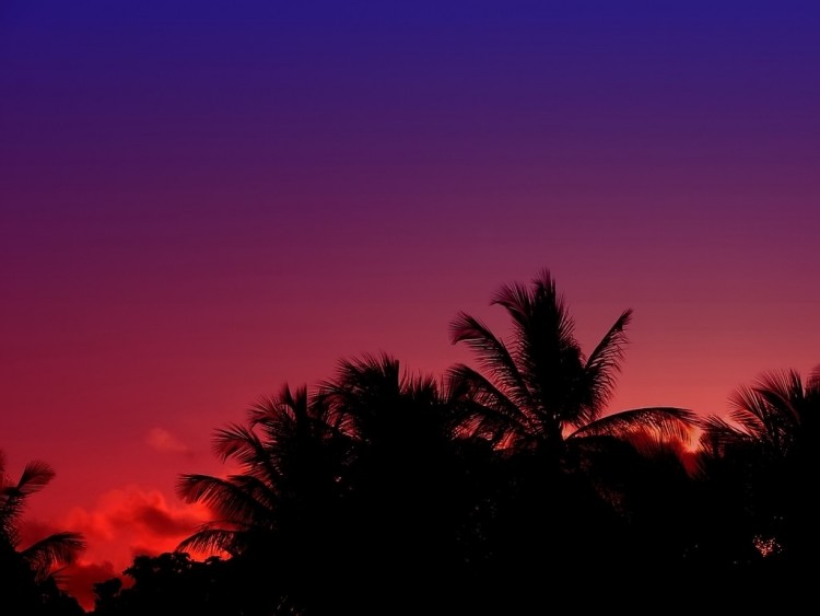 Fonds d'cran Nature Couchers et levers de Soleil Amazonia