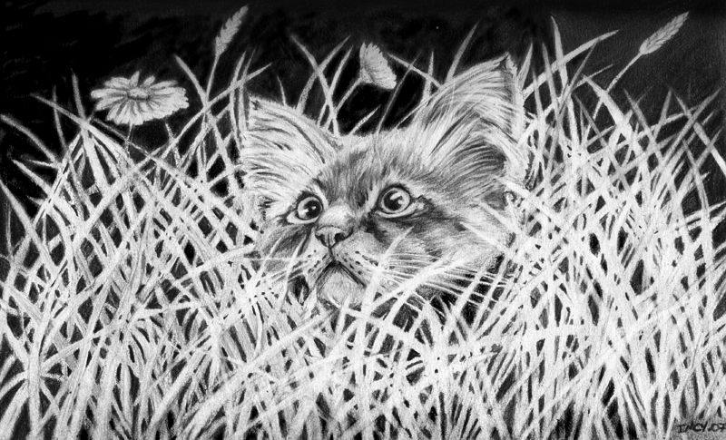 Wallpapers Art - Pencil Animals - Cats - Kittens Dans l'herbe