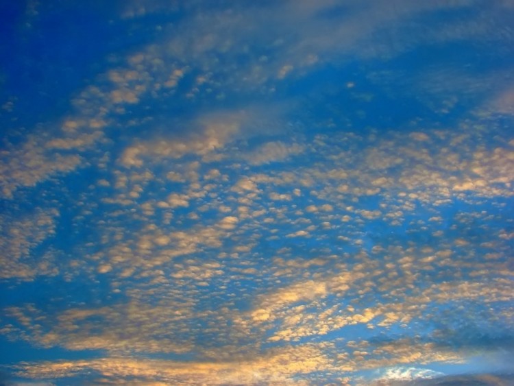 Wallpapers Nature Skies - Clouds autant de moutons...