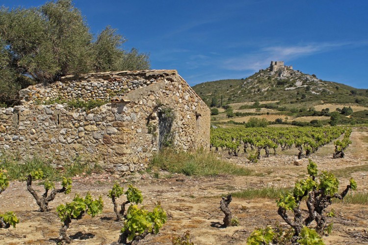 Wallpapers Trips : Europ France > Languedoc-Roussillon Chateau Cathare