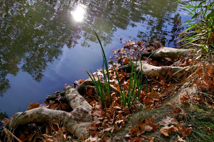 Wallpapers Trips : Europ France > Languedoc-Roussillon Les pieds dans l'eau