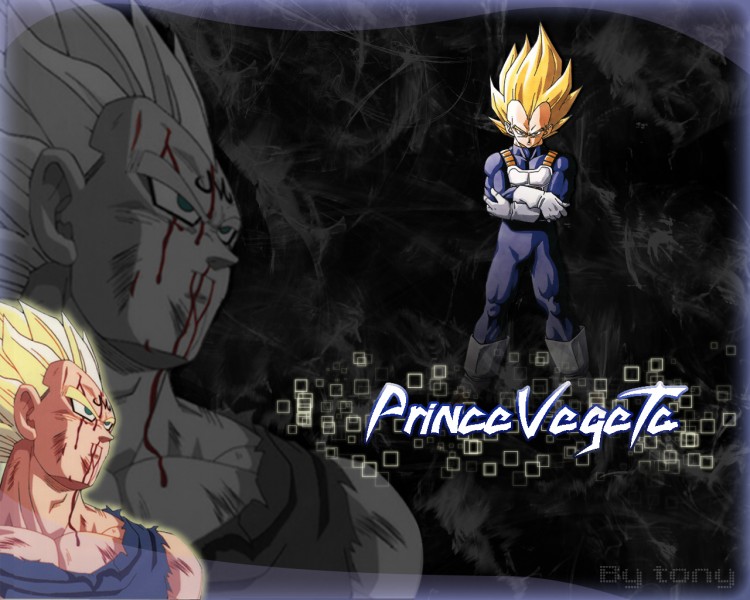 Wallpapers Manga Dragon Ball Z vegeta