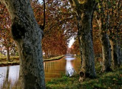 Wallpapers Trips : Europ Canal du Midi