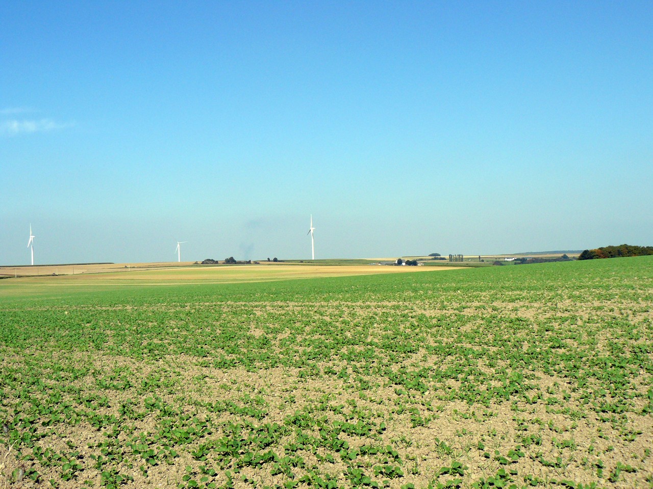 Fonds d'cran Nature Paysages Campagne