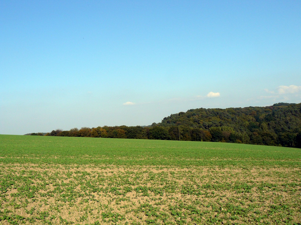 Fonds d'cran Nature Paysages Campagne, Champs