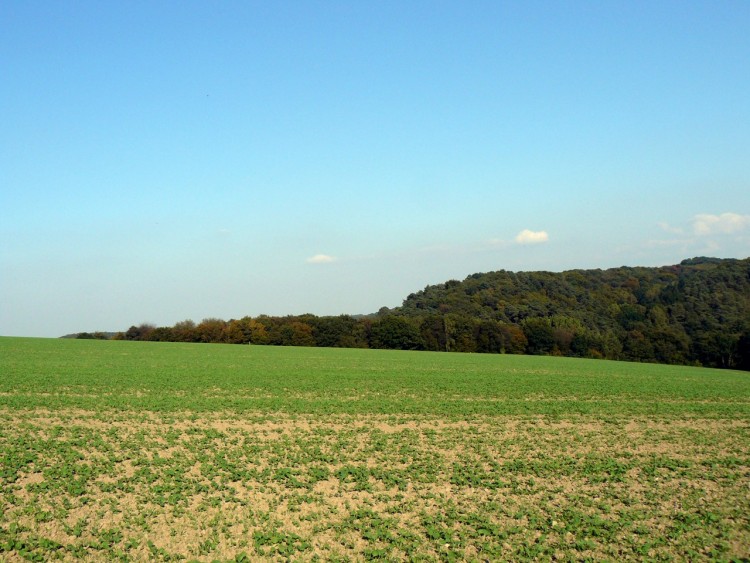 Wallpapers Nature Landscapes Campagne, Champs