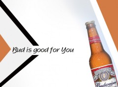 Wallpapers Brands - Advertising bud is good for you ...