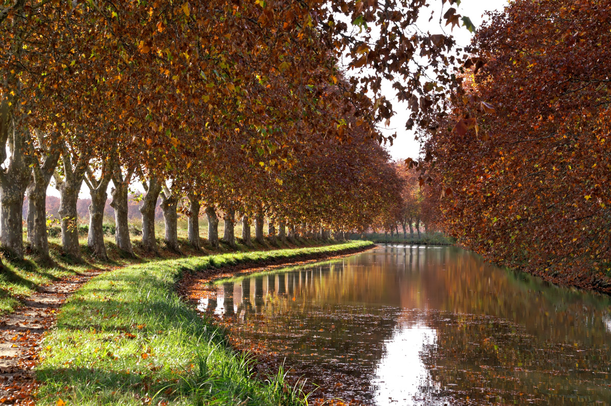 Wallpapers Nature Canals Canal du Midi