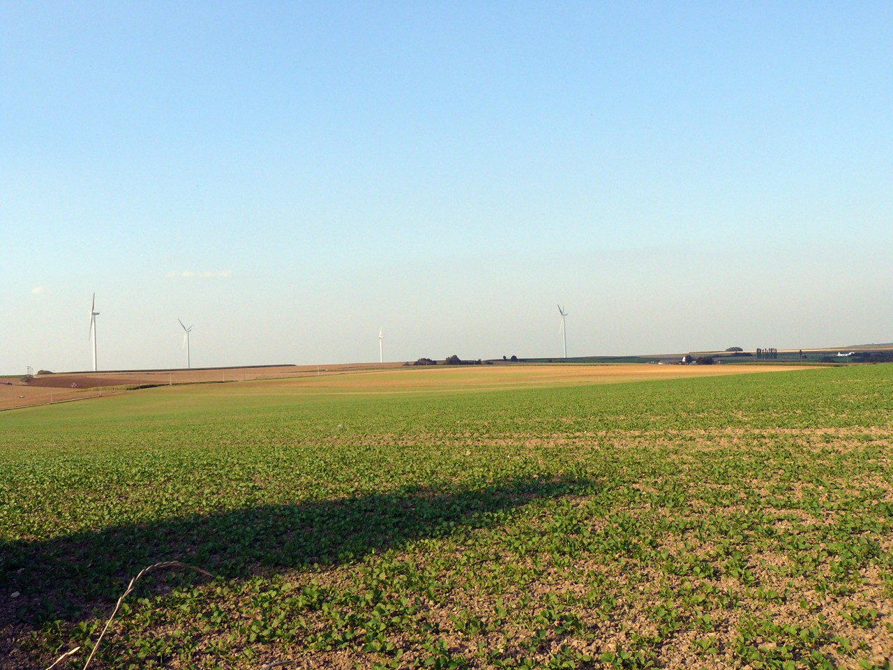 Fonds d'cran Constructions et architecture Moulins - Eoliennes champs, oliennes